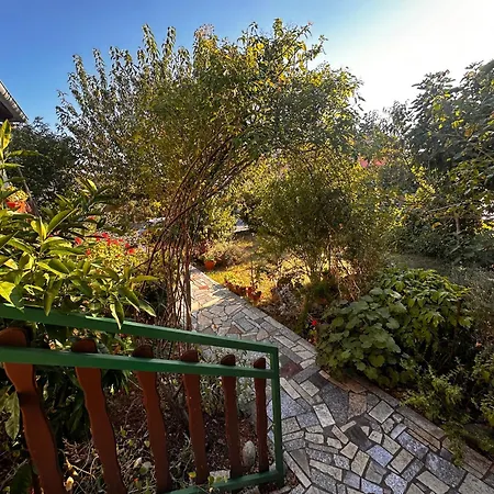 Apartament Deluxe Boricciano Pula