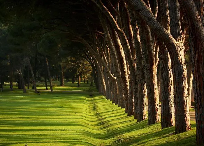 Διαμέρισμα Deluxe Boricciano *