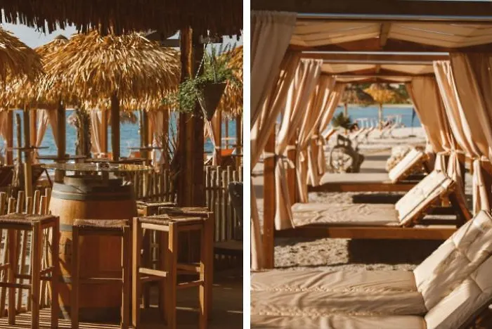 Deluxe Boricciano * Pula