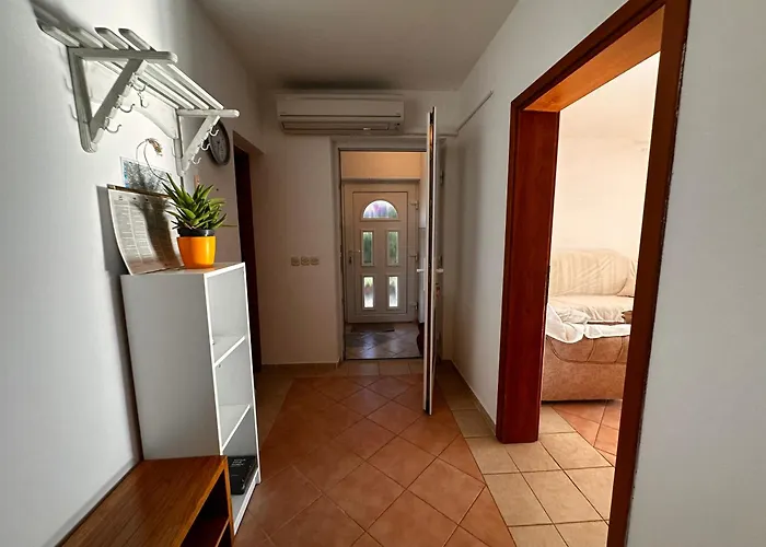 Deluxe Boricciano *