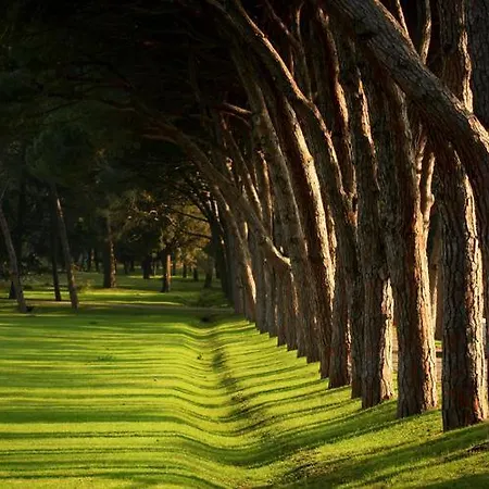 Apartment Deluxe Boricciano *