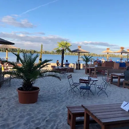 Deluxe Boricciano * Pula