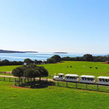 Apartment Deluxe Boricciano