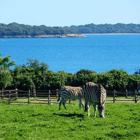 Deluxe Boricciano Apartment *