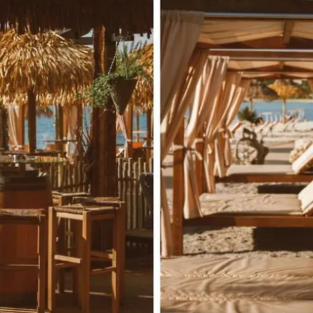 Deluxe Boricciano * بولا