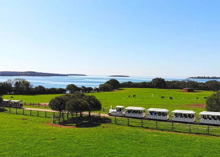 Apartment Deluxe Boricciano