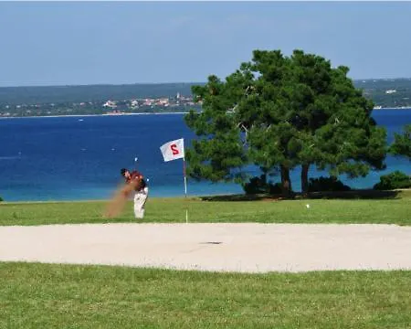 Deluxe Boricciano * Pula