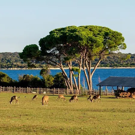 Deluxe Boricciano Lägenhet *