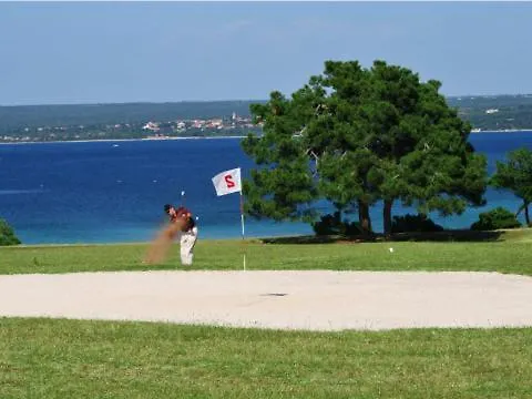 Deluxe Boricciano * Pula