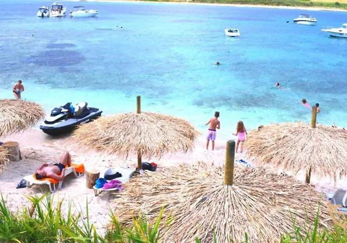 Deluxe Boricciano * Pula